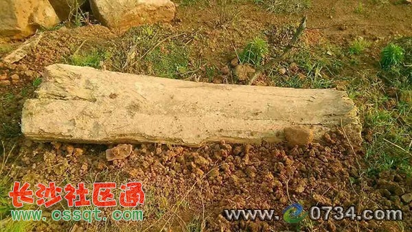 ЇW(wng) www.e0734.com